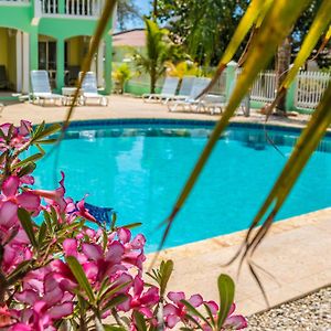 Coral Paradise Resort